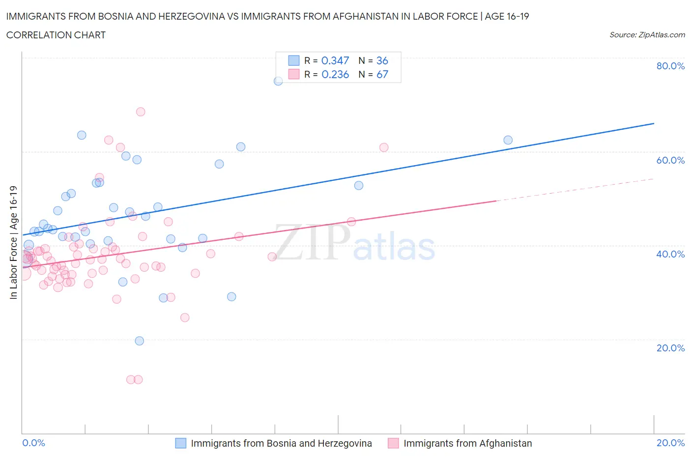 Immigrants from Bosnia and Herzegovina vs Immigrants from Afghanistan In Labor Force | Age 16-19
