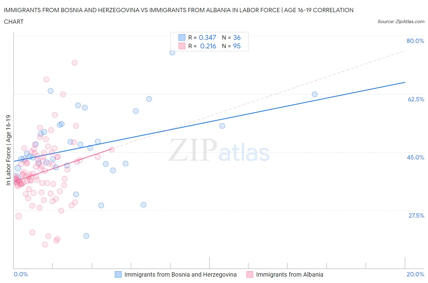Immigrants from Bosnia and Herzegovina vs Immigrants from Albania In Labor Force | Age 16-19