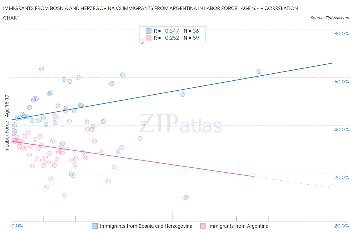 Immigrants from Bosnia and Herzegovina vs Immigrants from Argentina In Labor Force | Age 16-19