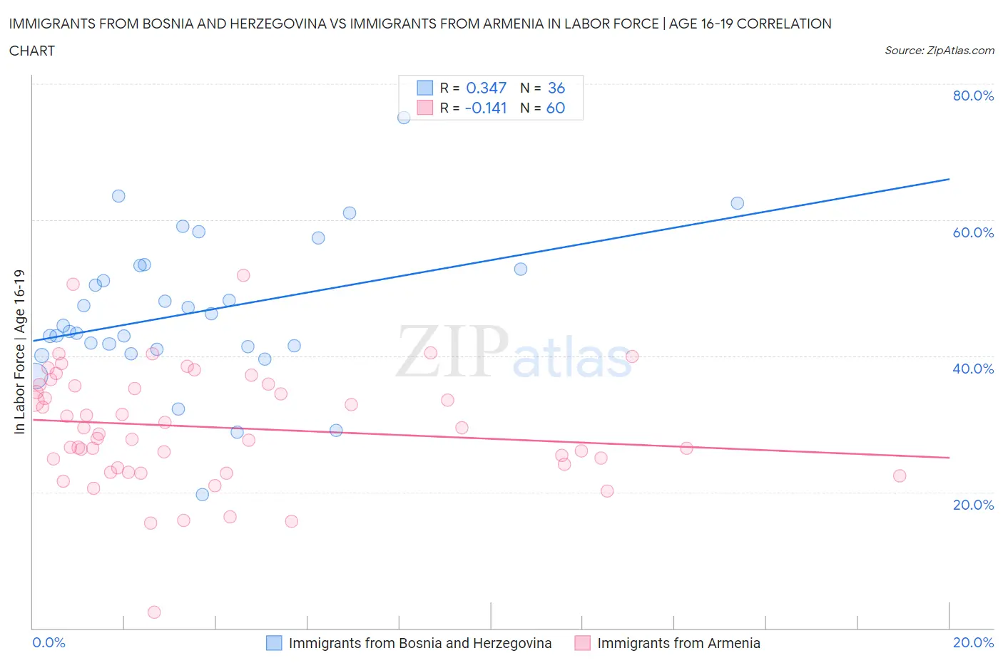 Immigrants from Bosnia and Herzegovina vs Immigrants from Armenia In Labor Force | Age 16-19