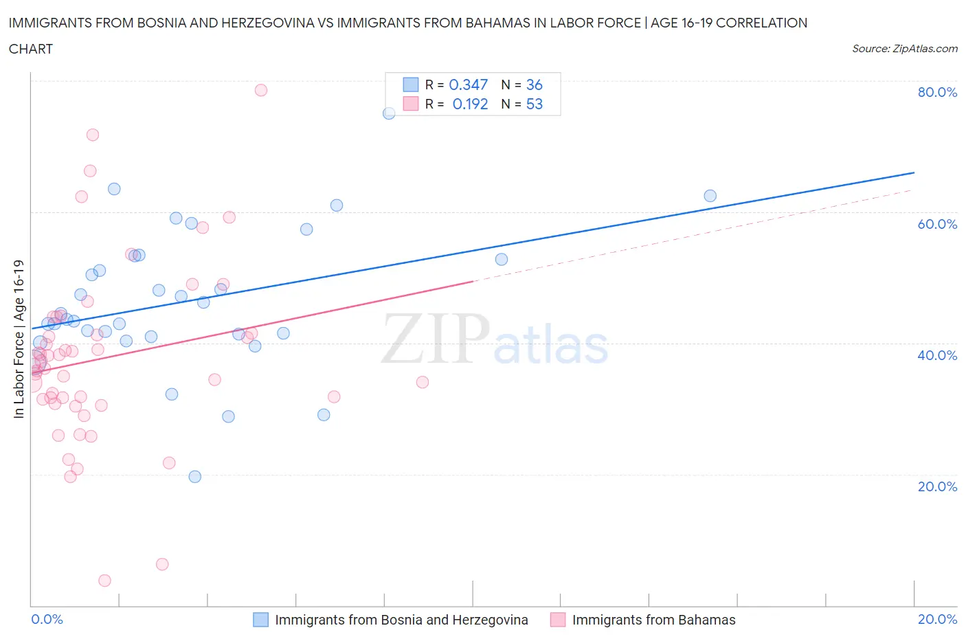 Immigrants from Bosnia and Herzegovina vs Immigrants from Bahamas In Labor Force | Age 16-19