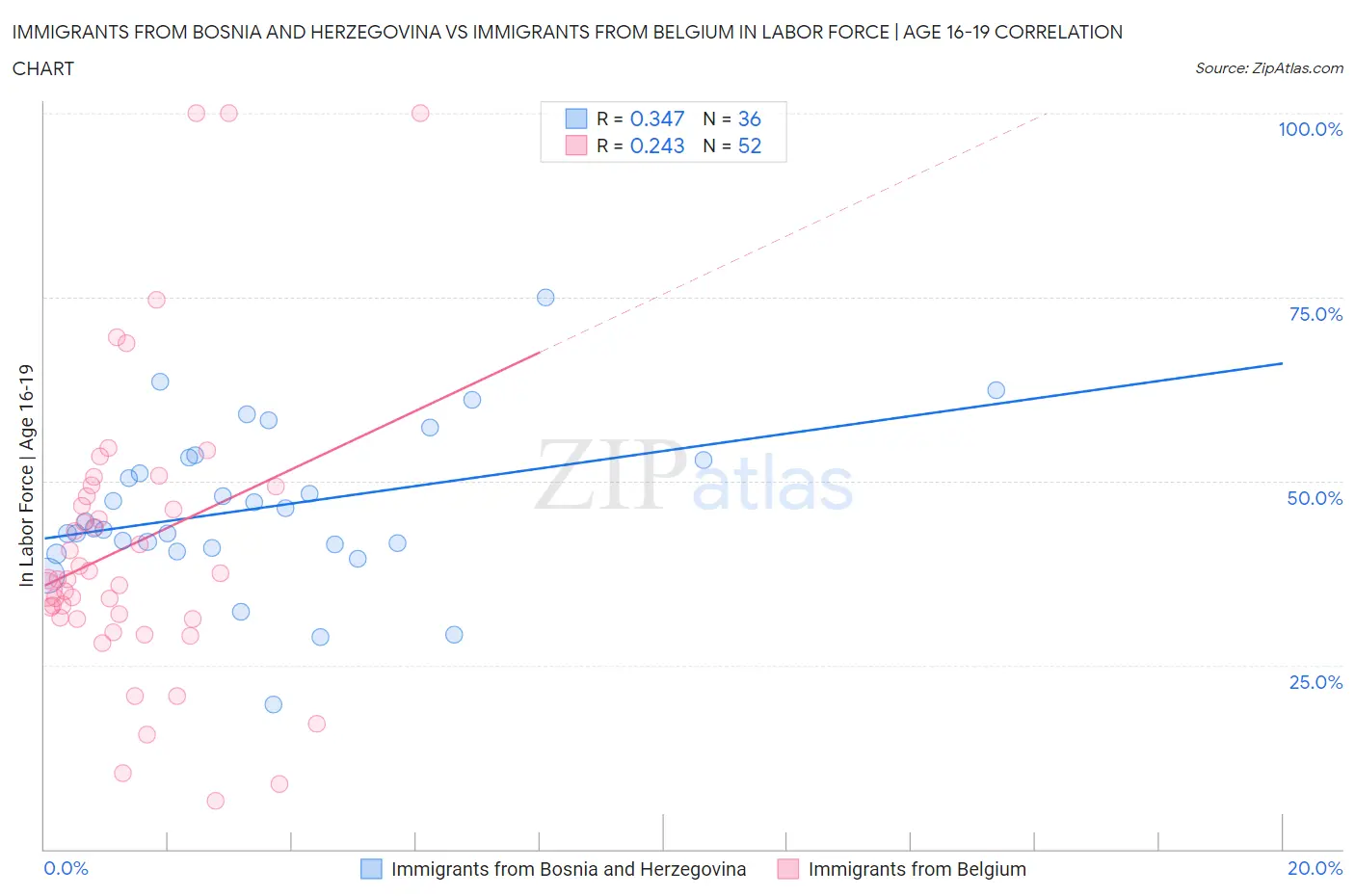 Immigrants from Bosnia and Herzegovina vs Immigrants from Belgium In Labor Force | Age 16-19
