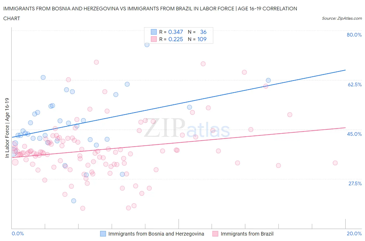 Immigrants from Bosnia and Herzegovina vs Immigrants from Brazil In Labor Force | Age 16-19