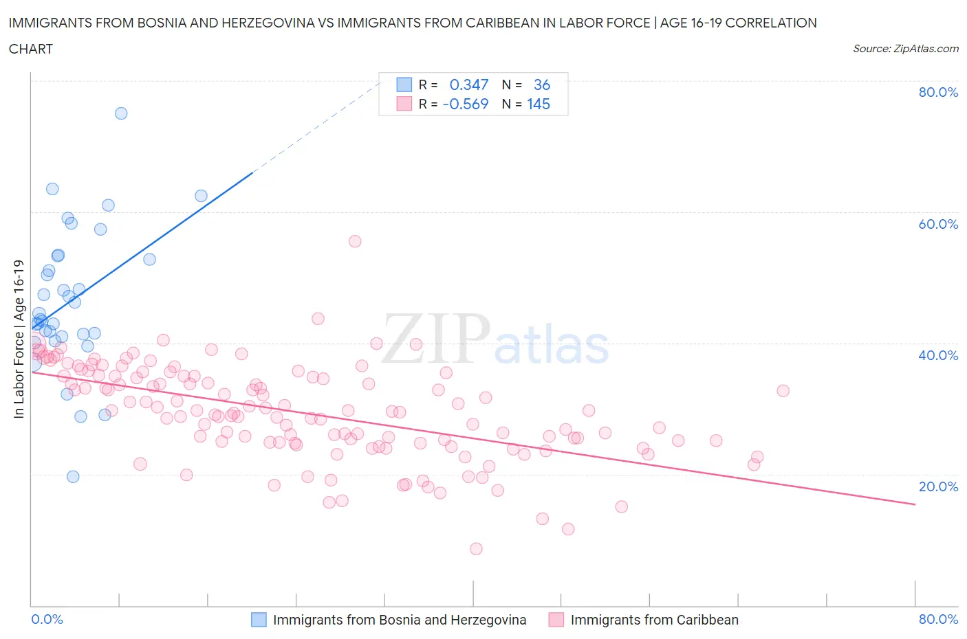 Immigrants from Bosnia and Herzegovina vs Immigrants from Caribbean In Labor Force | Age 16-19