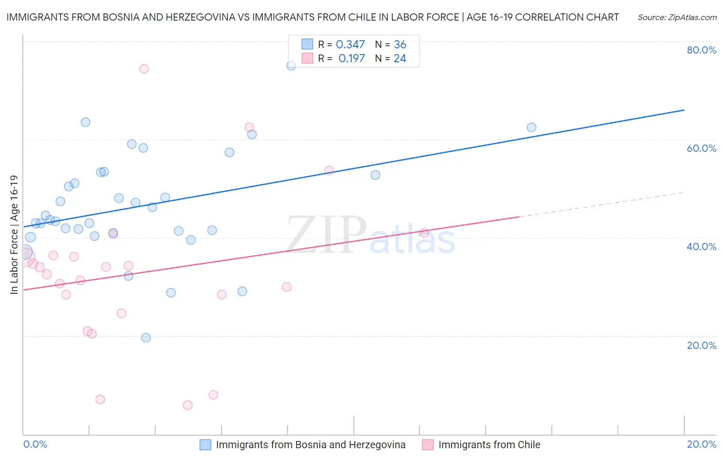 Immigrants from Bosnia and Herzegovina vs Immigrants from Chile In Labor Force | Age 16-19