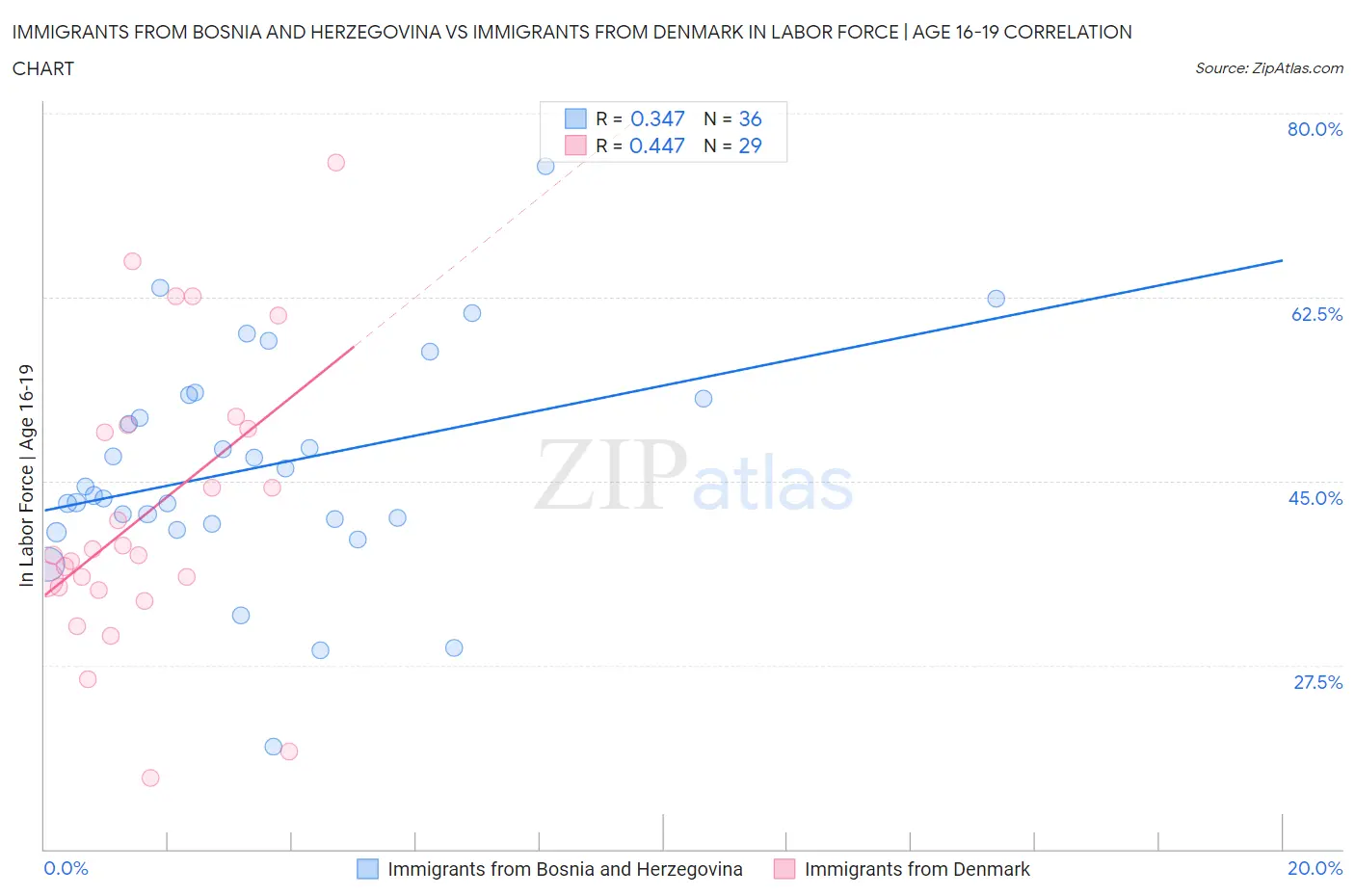 Immigrants from Bosnia and Herzegovina vs Immigrants from Denmark In Labor Force | Age 16-19