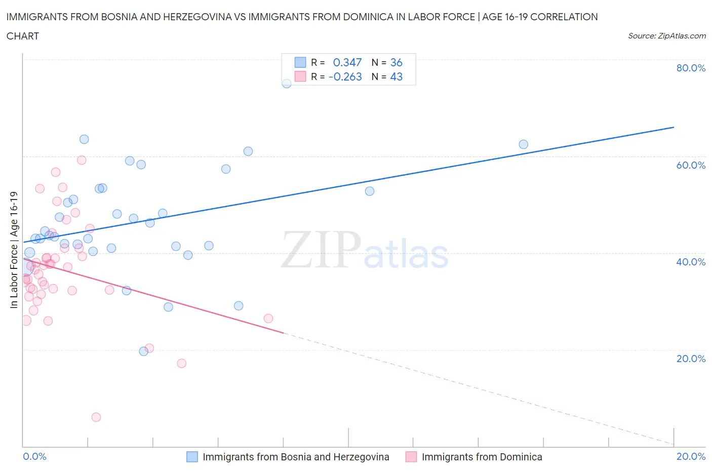 Immigrants from Bosnia and Herzegovina vs Immigrants from Dominica In Labor Force | Age 16-19