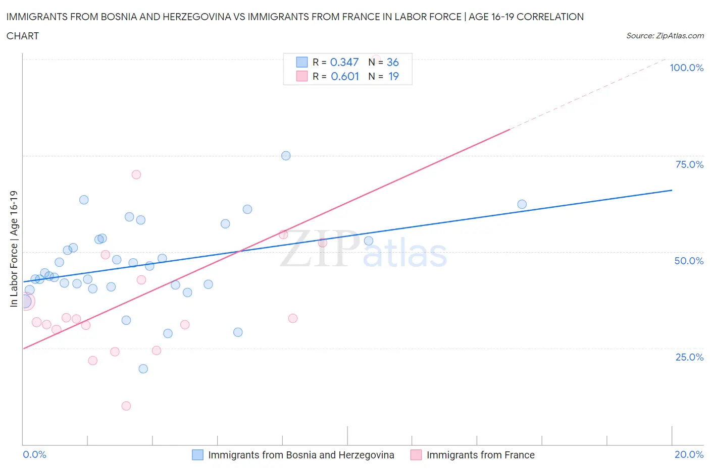 Immigrants from Bosnia and Herzegovina vs Immigrants from France In Labor Force | Age 16-19