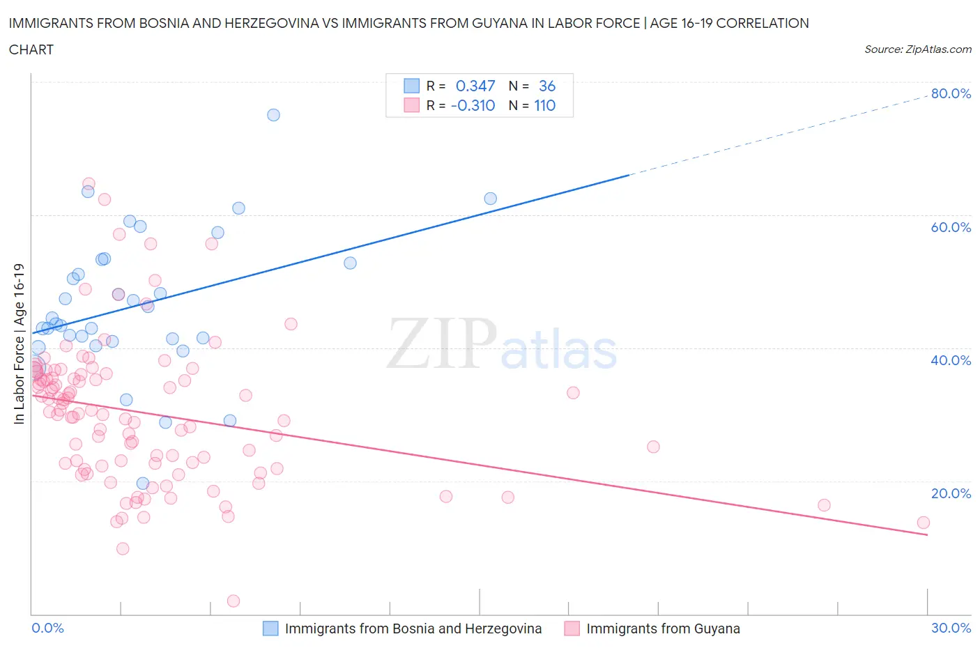 Immigrants from Bosnia and Herzegovina vs Immigrants from Guyana In Labor Force | Age 16-19