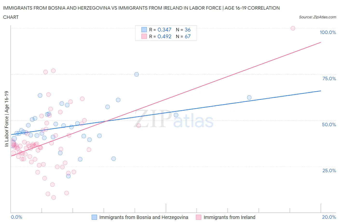 Immigrants from Bosnia and Herzegovina vs Immigrants from Ireland In Labor Force | Age 16-19
