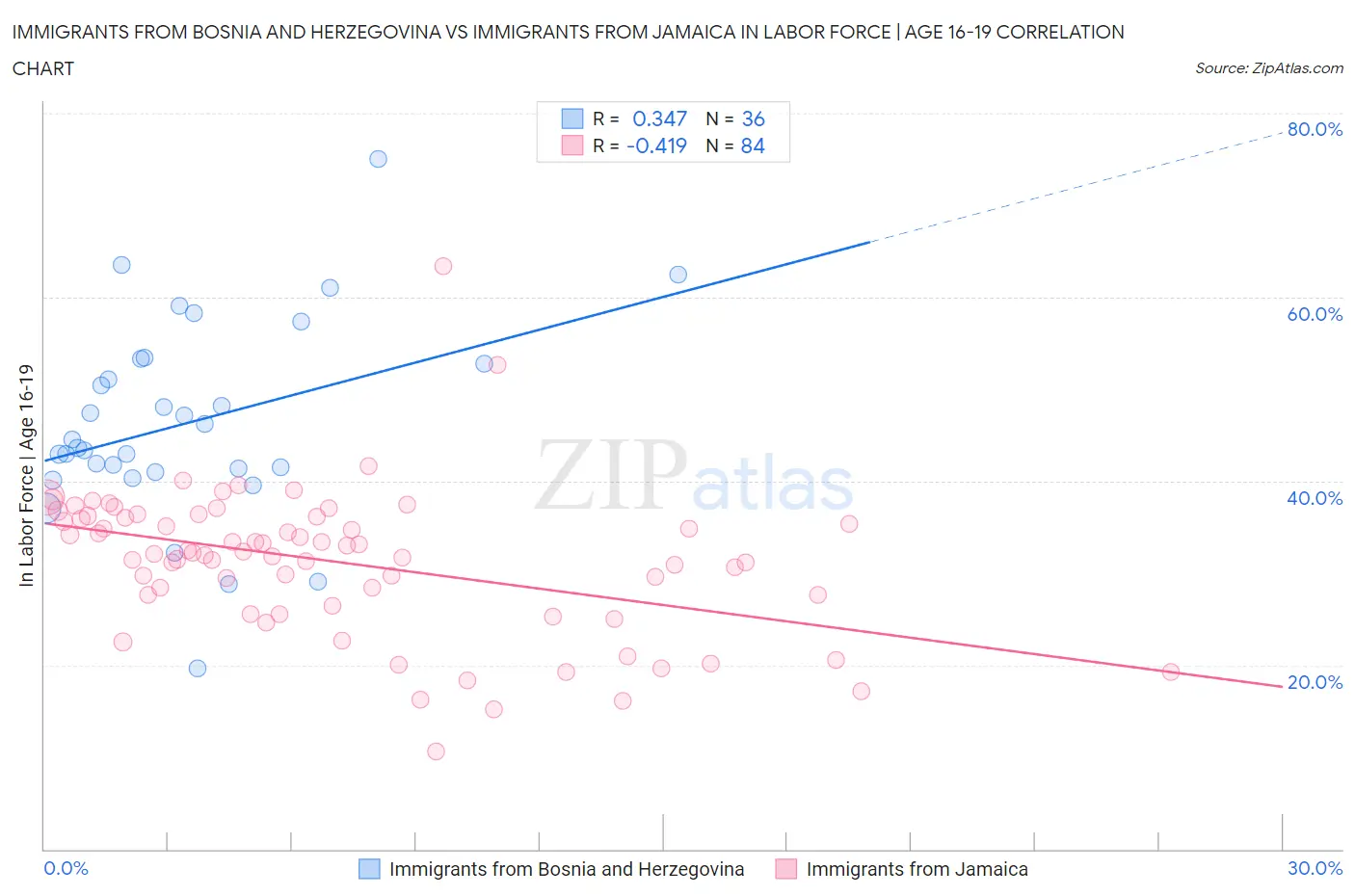 Immigrants from Bosnia and Herzegovina vs Immigrants from Jamaica In Labor Force | Age 16-19