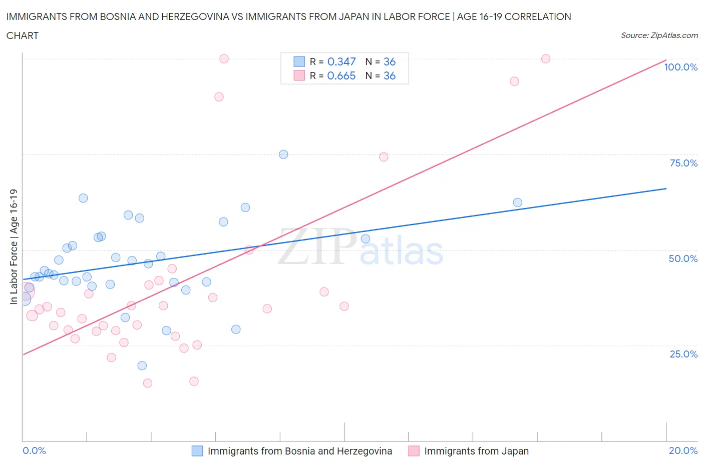 Immigrants from Bosnia and Herzegovina vs Immigrants from Japan In Labor Force | Age 16-19