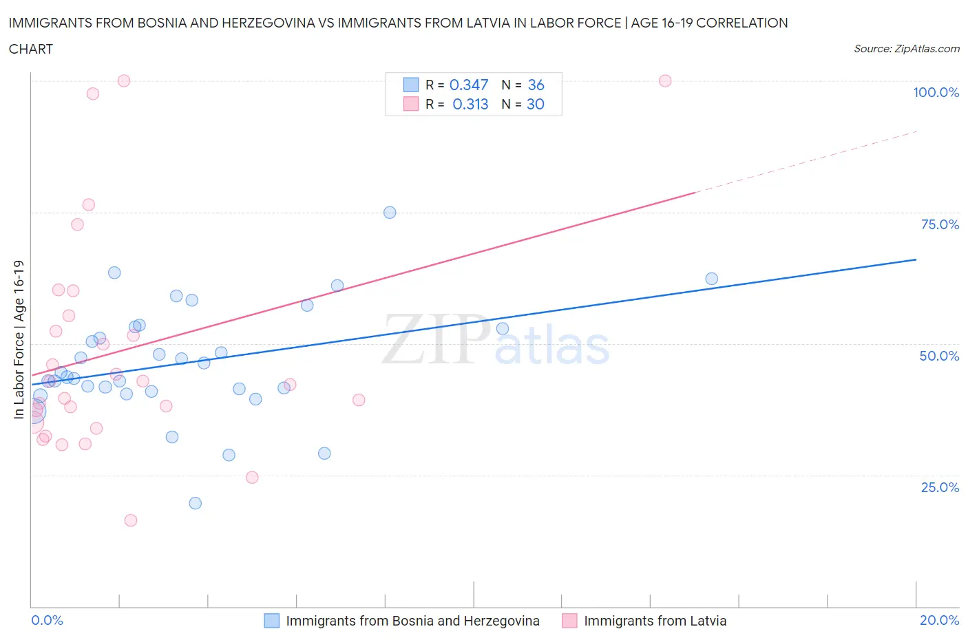 Immigrants from Bosnia and Herzegovina vs Immigrants from Latvia In Labor Force | Age 16-19
