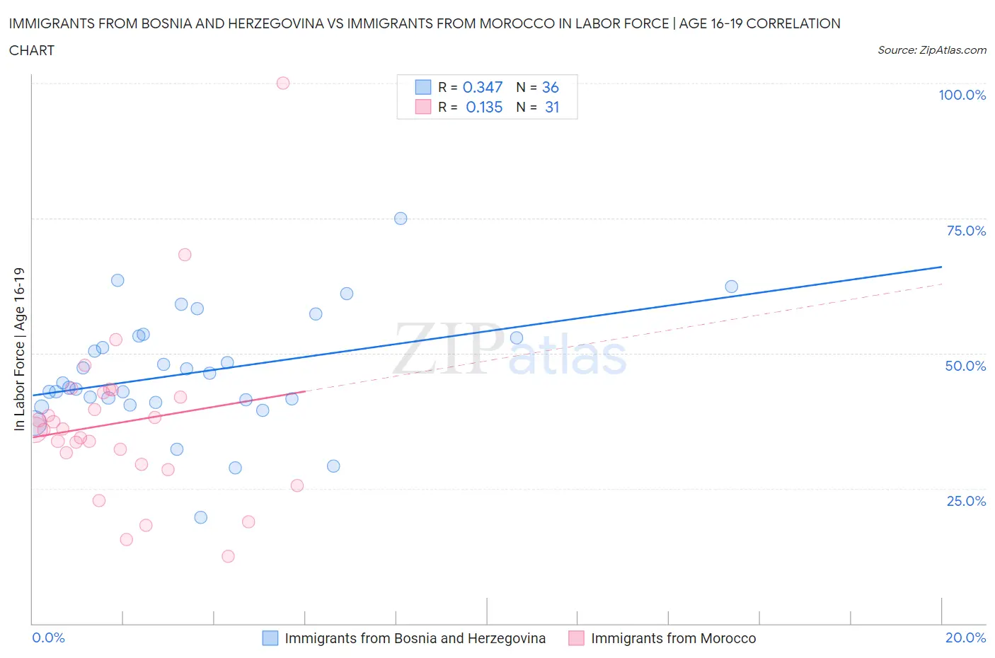 Immigrants from Bosnia and Herzegovina vs Immigrants from Morocco In Labor Force | Age 16-19