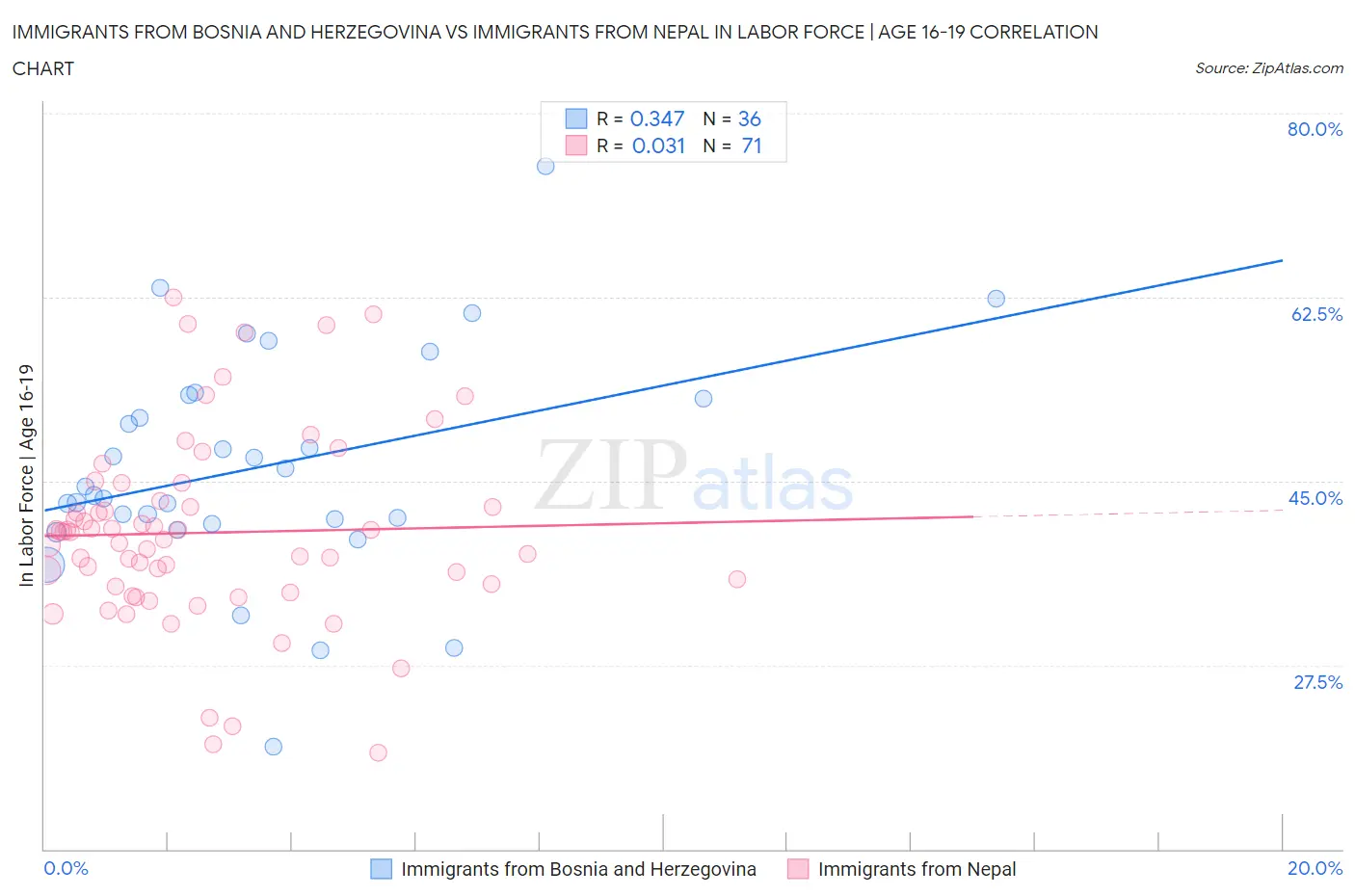 Immigrants from Bosnia and Herzegovina vs Immigrants from Nepal In Labor Force | Age 16-19