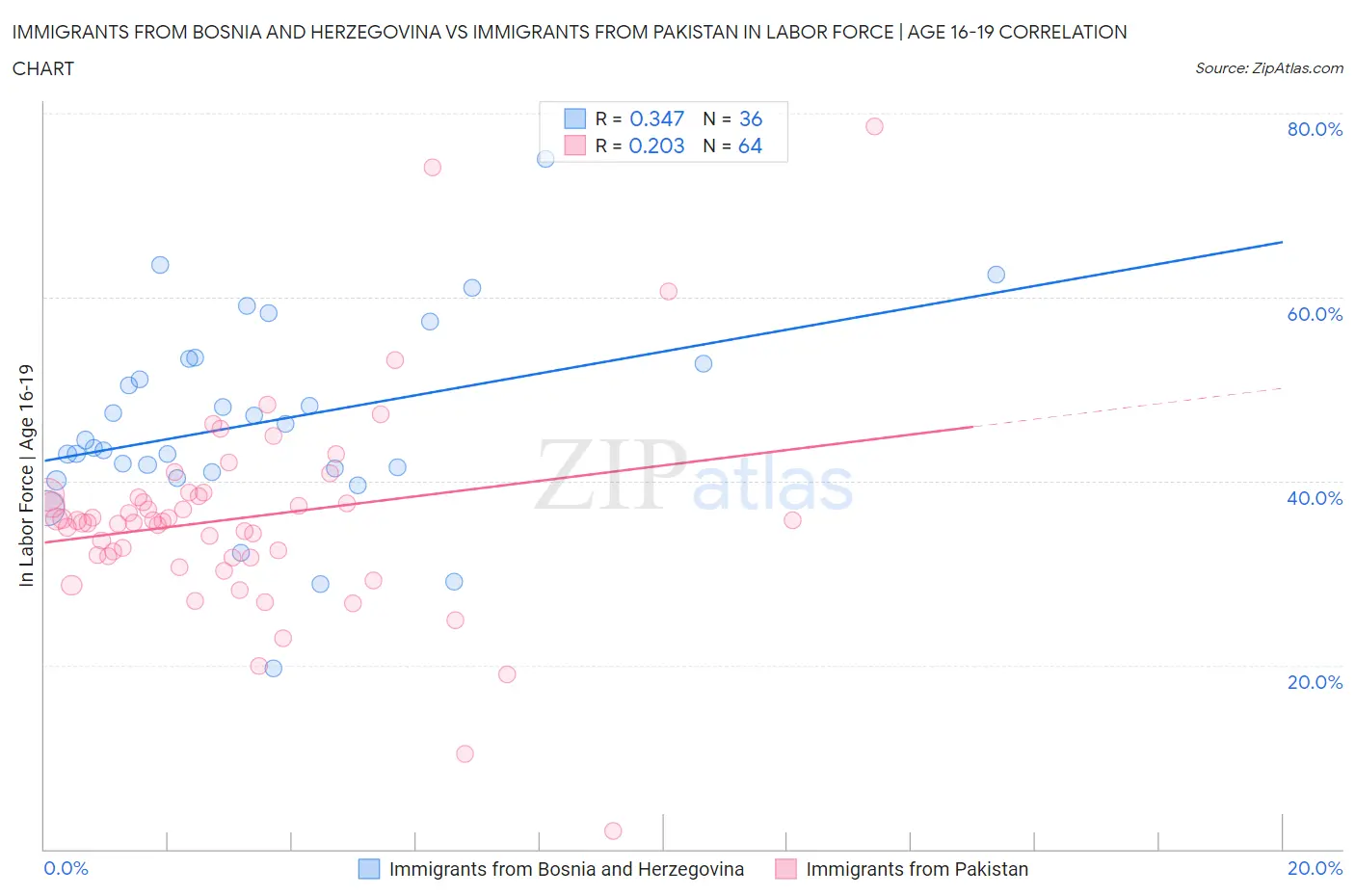 Immigrants from Bosnia and Herzegovina vs Immigrants from Pakistan In Labor Force | Age 16-19