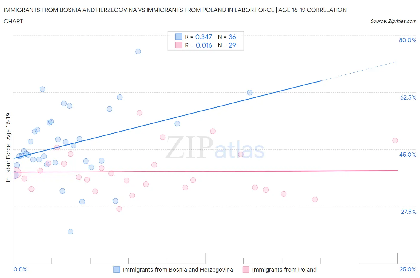 Immigrants from Bosnia and Herzegovina vs Immigrants from Poland In Labor Force | Age 16-19