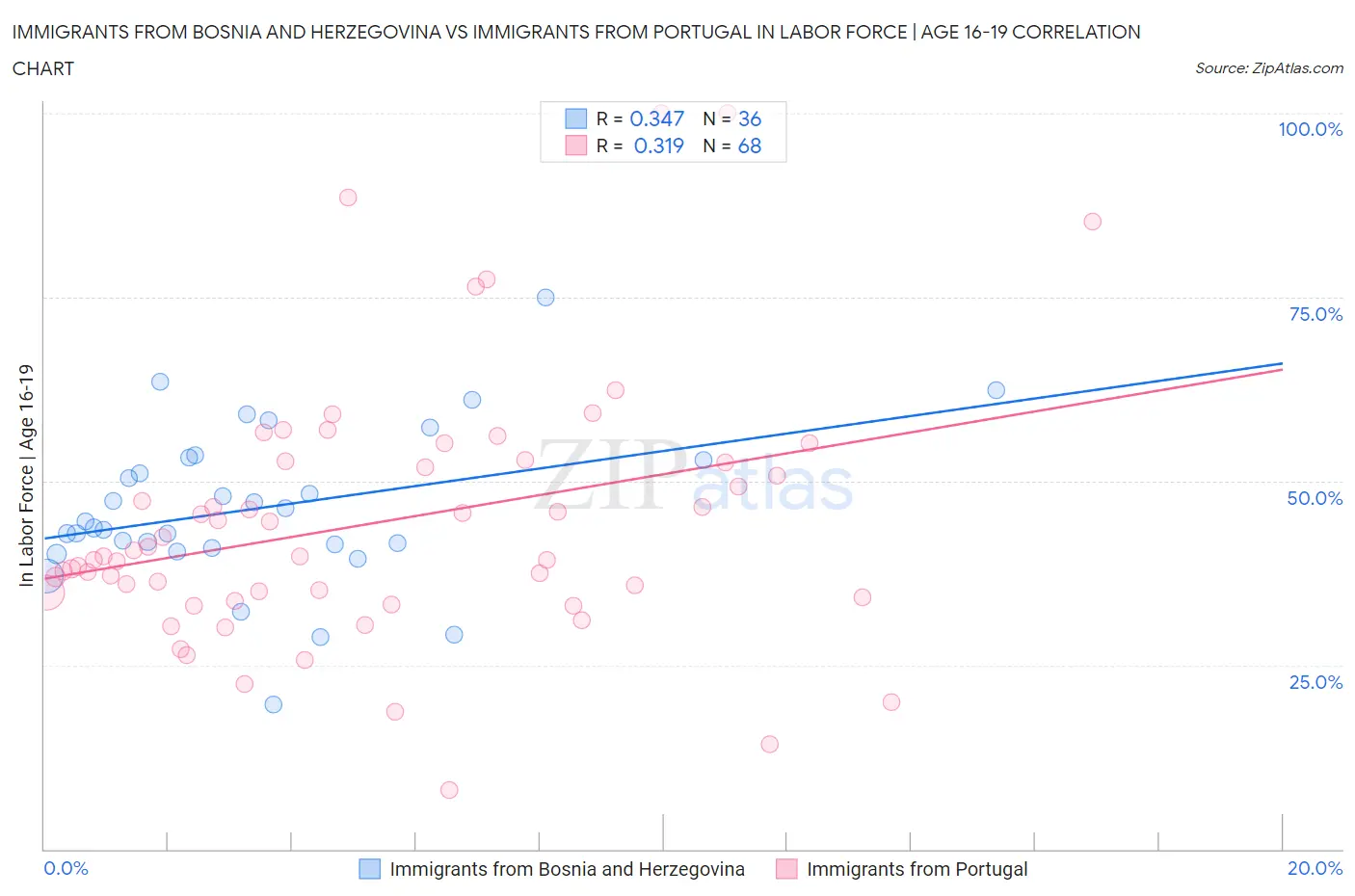 Immigrants from Bosnia and Herzegovina vs Immigrants from Portugal In Labor Force | Age 16-19