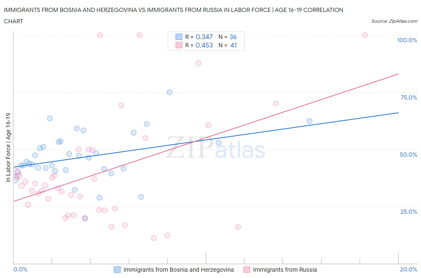 Immigrants from Bosnia and Herzegovina vs Immigrants from Russia In Labor Force | Age 16-19