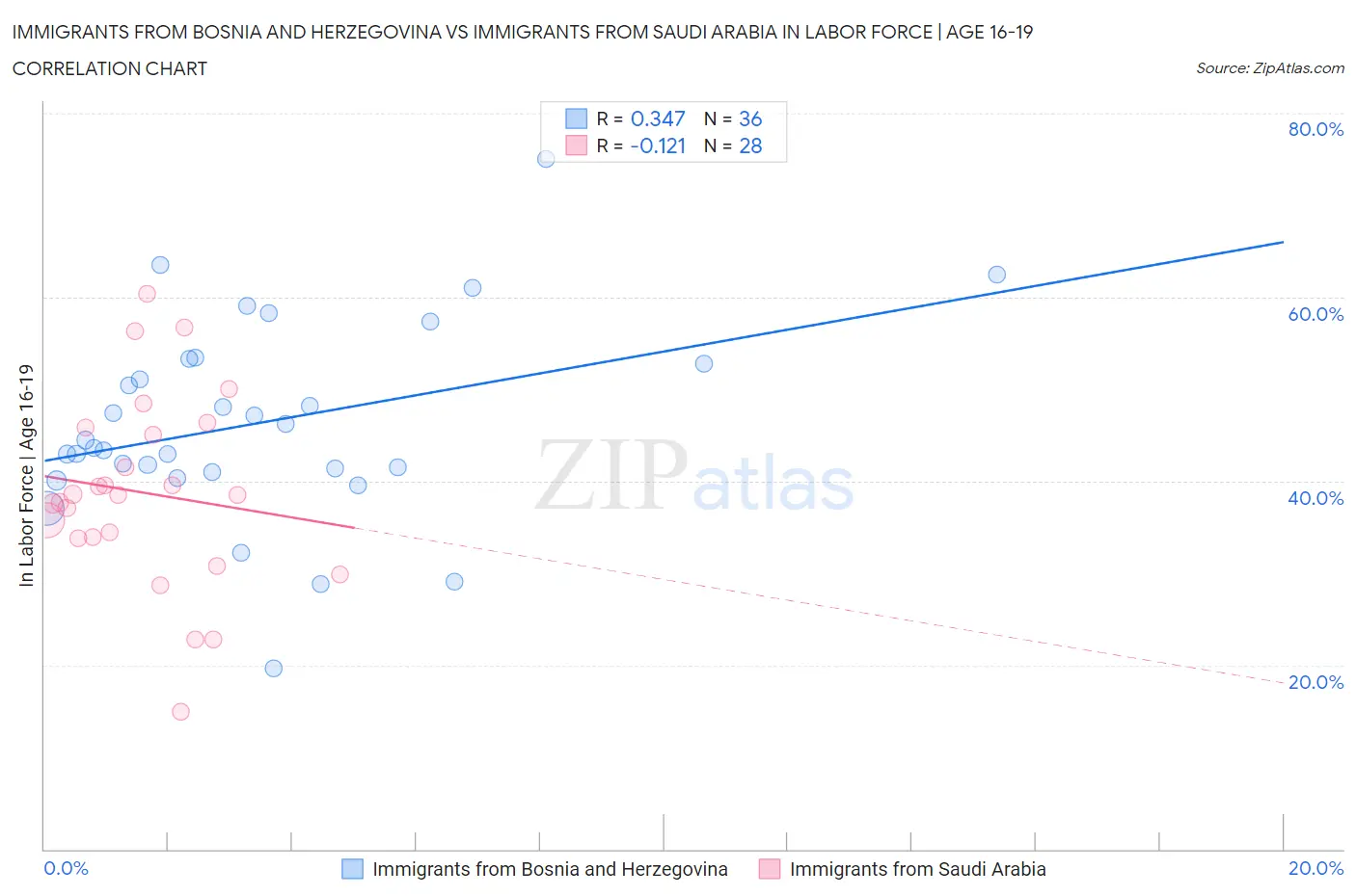 Immigrants from Bosnia and Herzegovina vs Immigrants from Saudi Arabia In Labor Force | Age 16-19