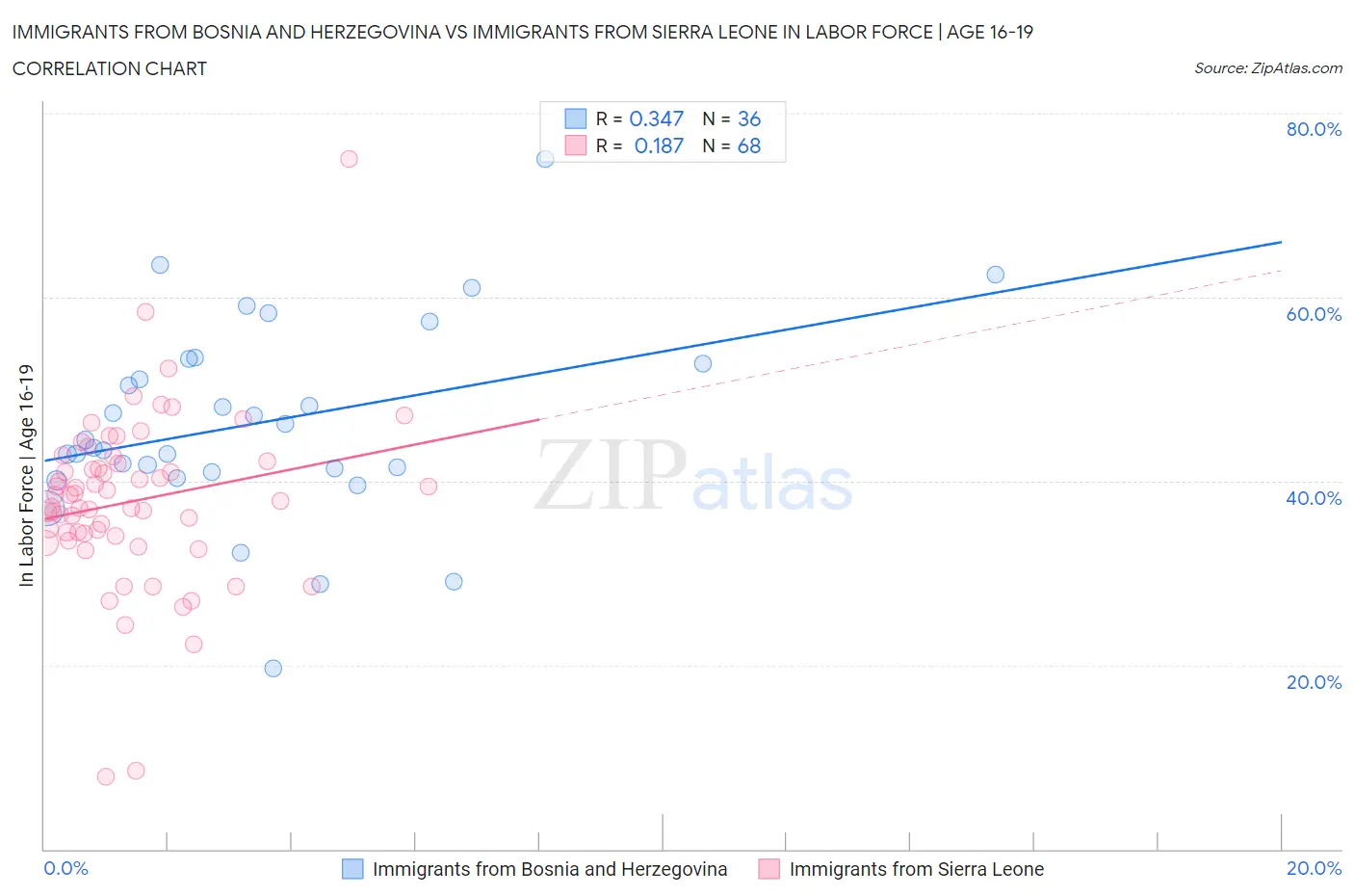 Immigrants from Bosnia and Herzegovina vs Immigrants from Sierra Leone In Labor Force | Age 16-19