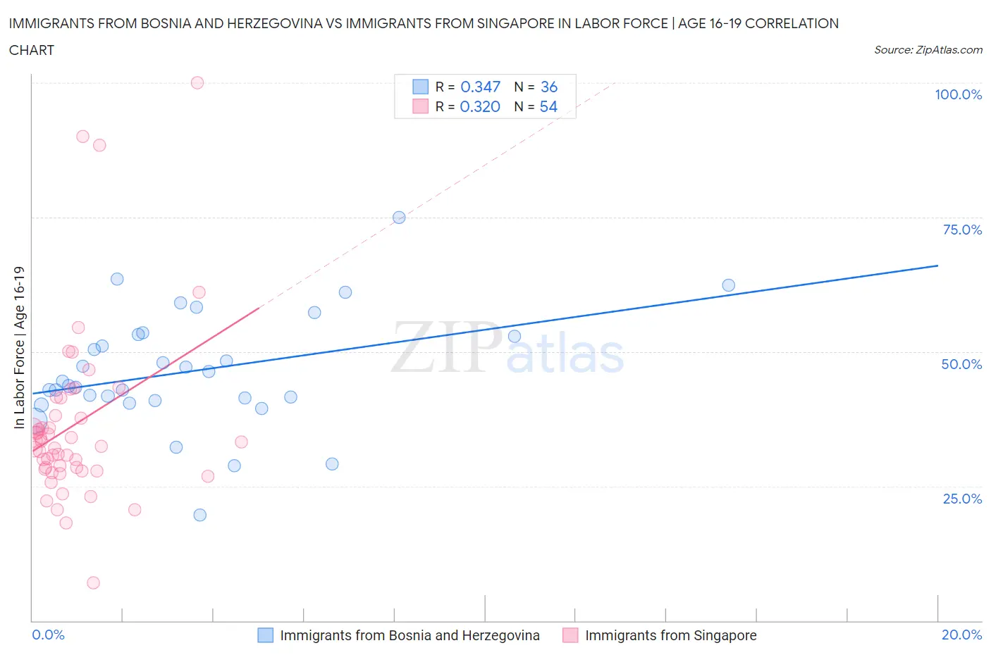 Immigrants from Bosnia and Herzegovina vs Immigrants from Singapore In Labor Force | Age 16-19