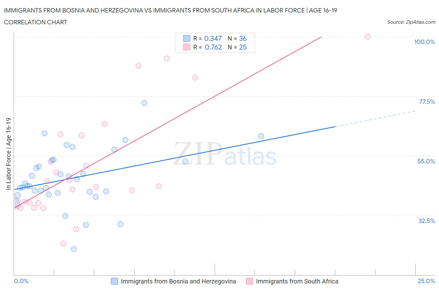 Immigrants from Bosnia and Herzegovina vs Immigrants from South Africa In Labor Force | Age 16-19