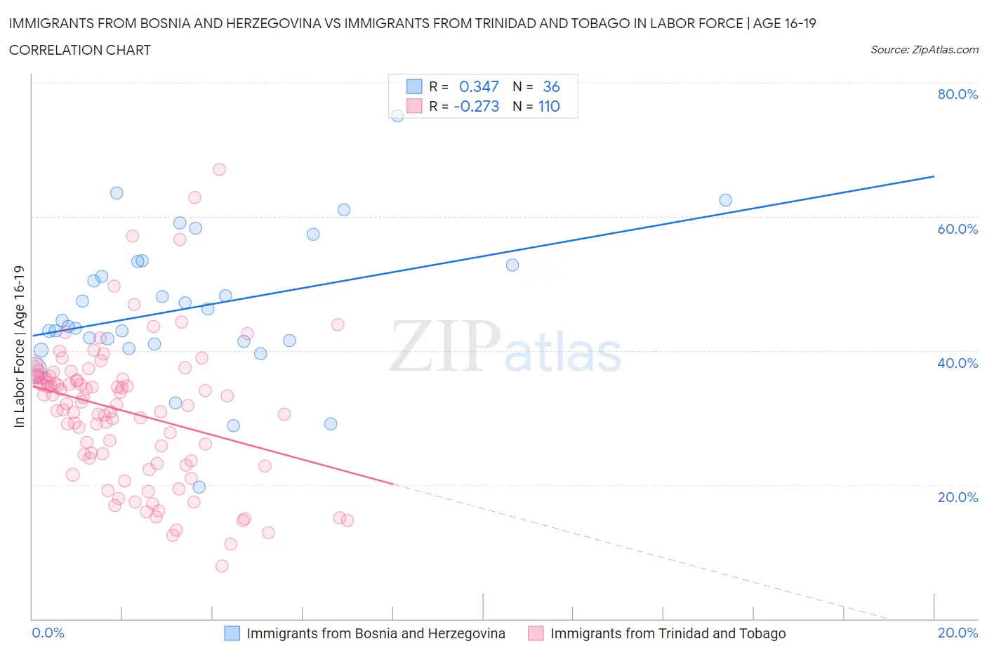 Immigrants from Bosnia and Herzegovina vs Immigrants from Trinidad and Tobago In Labor Force | Age 16-19