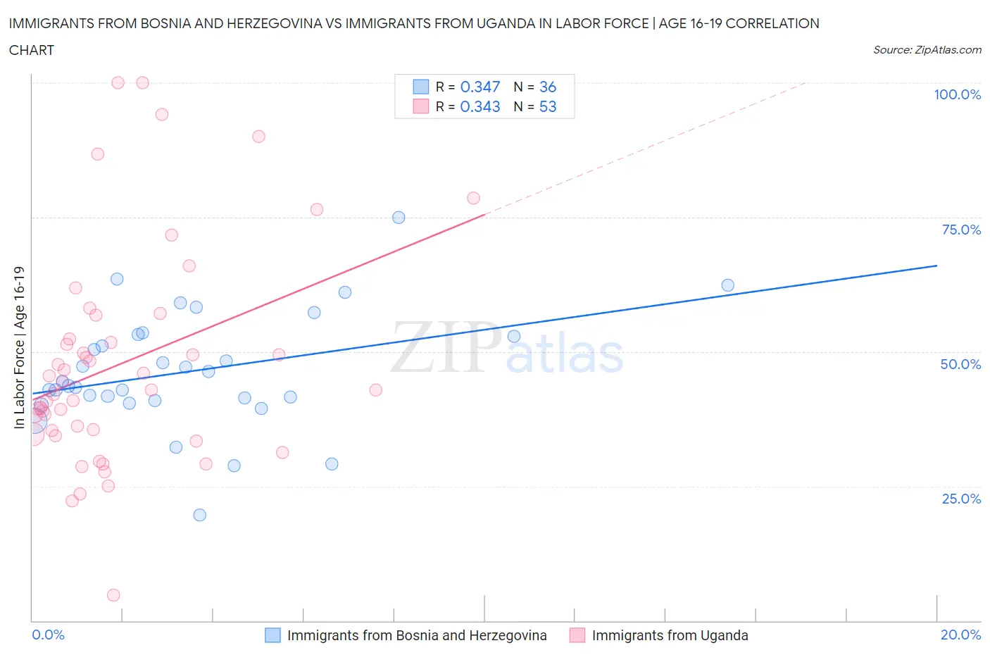 Immigrants from Bosnia and Herzegovina vs Immigrants from Uganda In Labor Force | Age 16-19