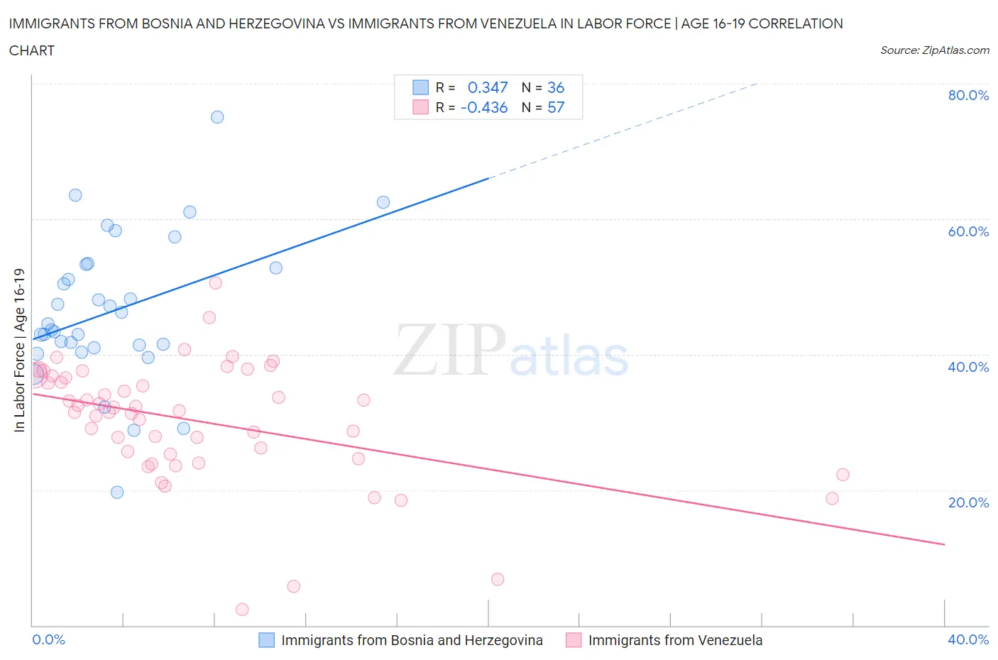 Immigrants from Bosnia and Herzegovina vs Immigrants from Venezuela In Labor Force | Age 16-19