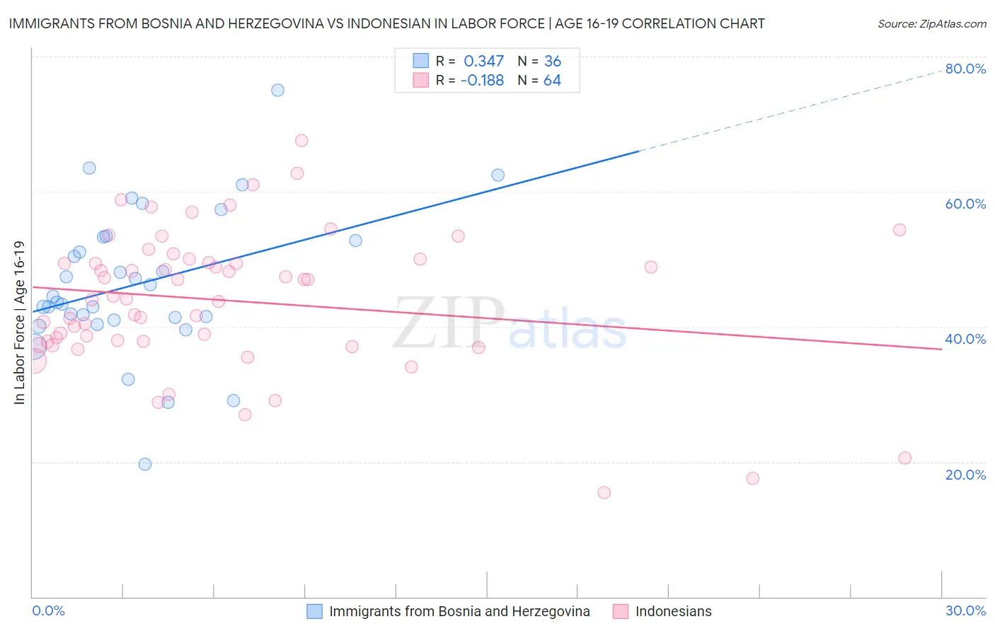 Immigrants from Bosnia and Herzegovina vs Indonesian In Labor Force | Age 16-19