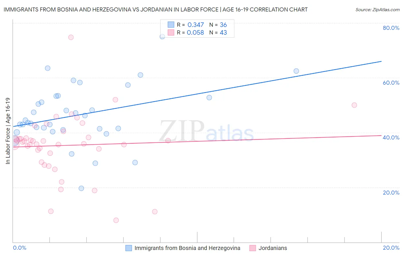 Immigrants from Bosnia and Herzegovina vs Jordanian In Labor Force | Age 16-19