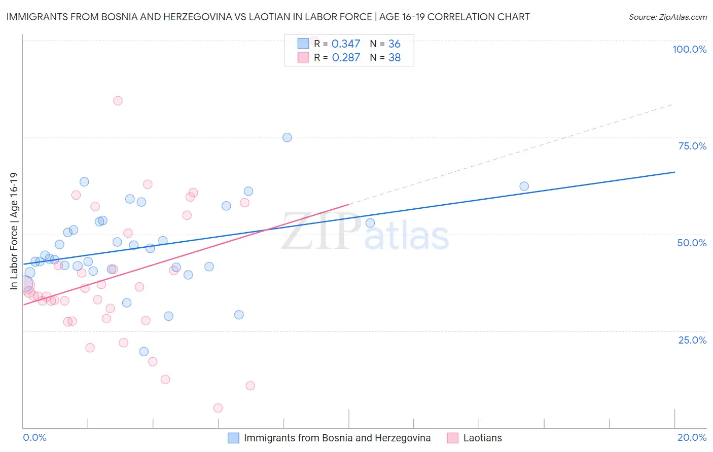 Immigrants from Bosnia and Herzegovina vs Laotian In Labor Force | Age 16-19