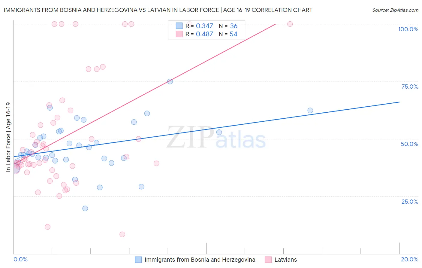 Immigrants from Bosnia and Herzegovina vs Latvian In Labor Force | Age 16-19