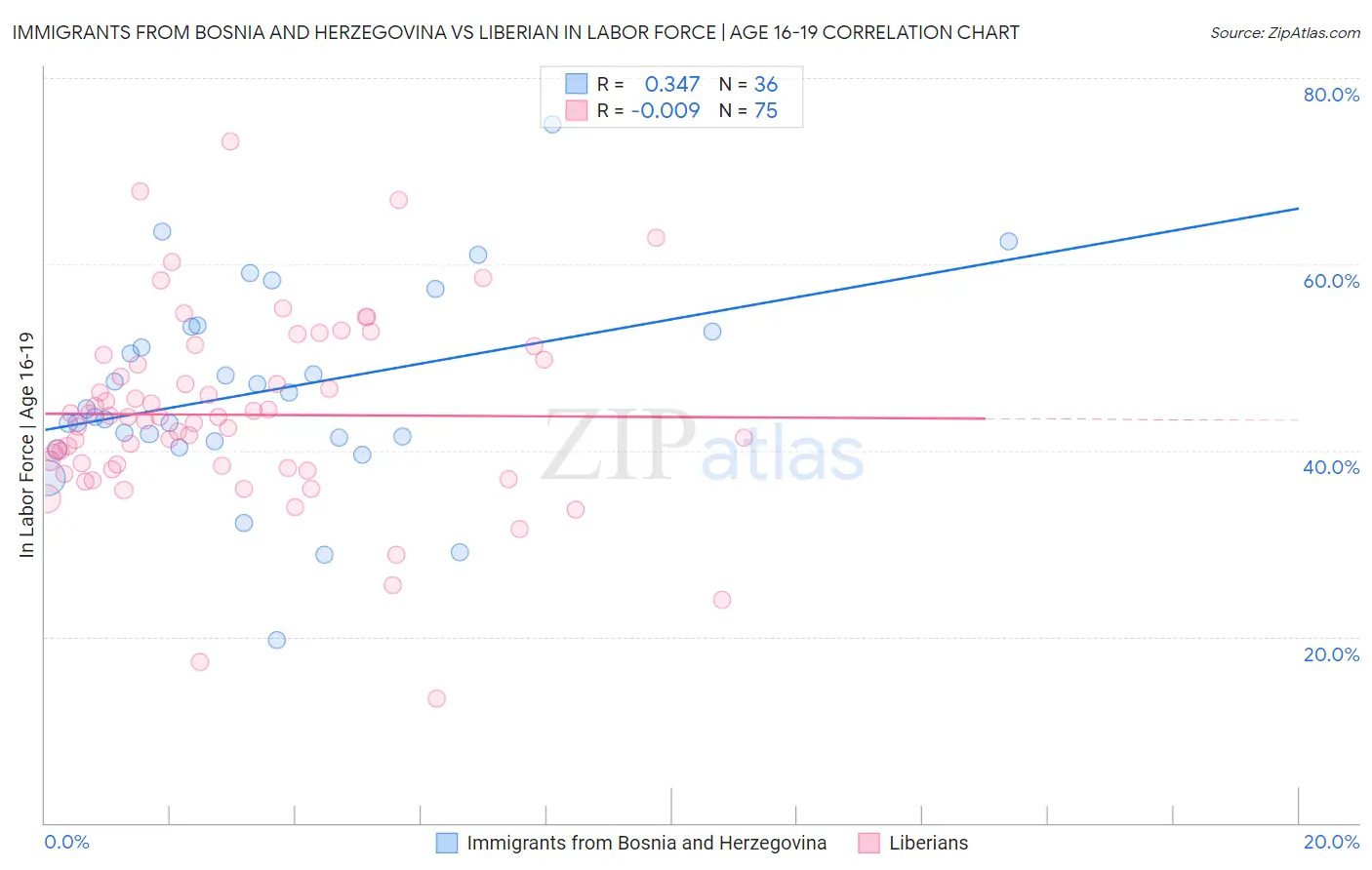 Immigrants from Bosnia and Herzegovina vs Liberian In Labor Force | Age 16-19