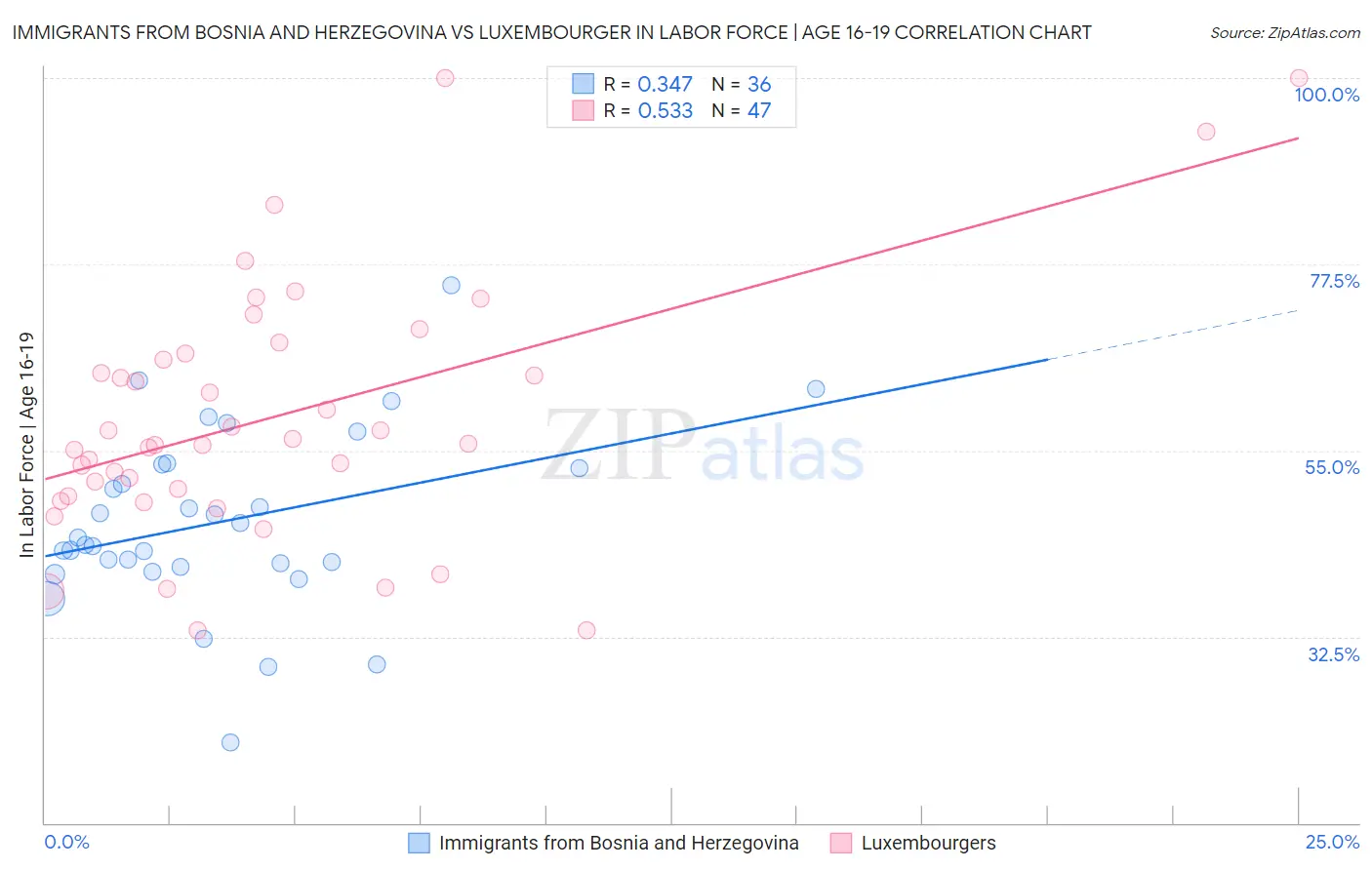 Immigrants from Bosnia and Herzegovina vs Luxembourger In Labor Force | Age 16-19