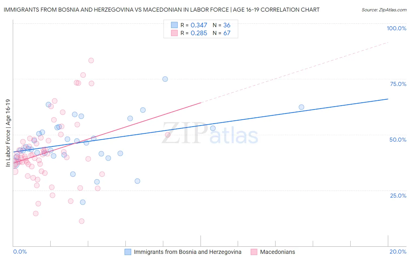 Immigrants from Bosnia and Herzegovina vs Macedonian In Labor Force | Age 16-19