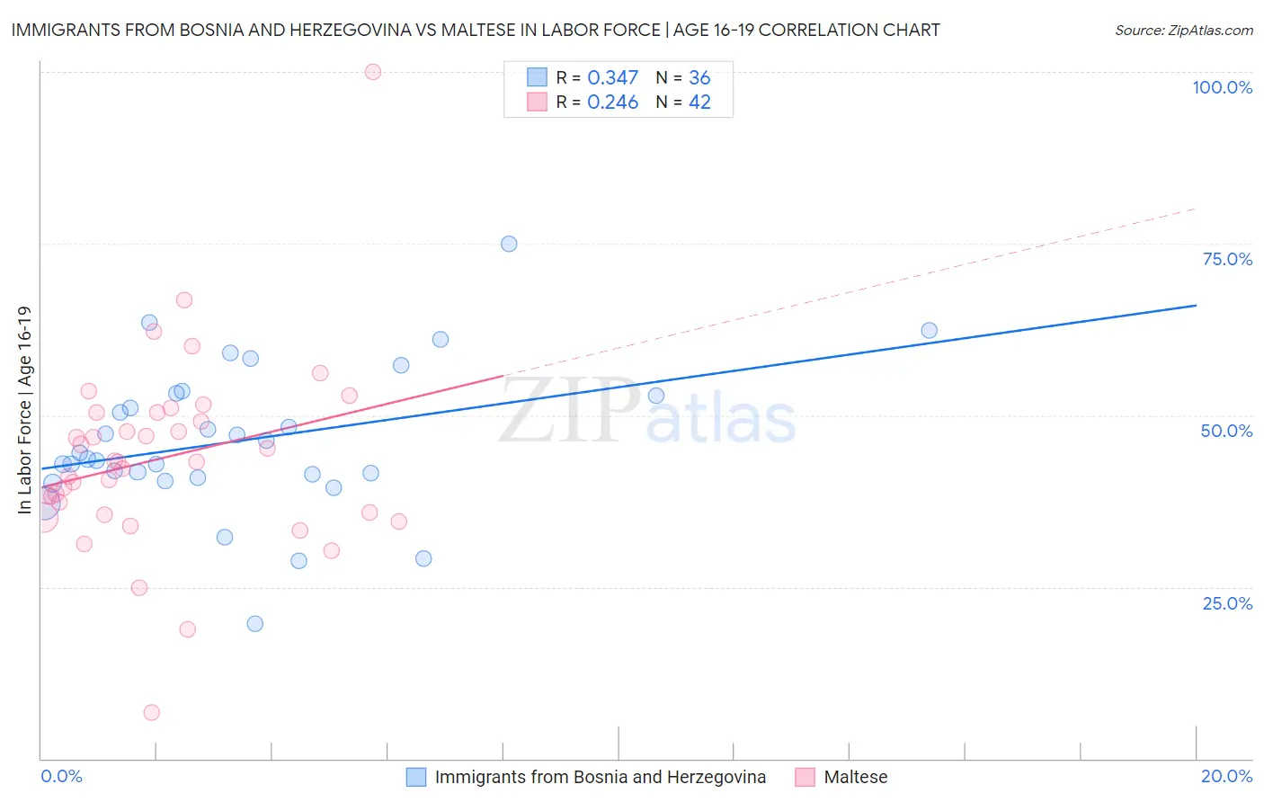 Immigrants from Bosnia and Herzegovina vs Maltese In Labor Force | Age 16-19