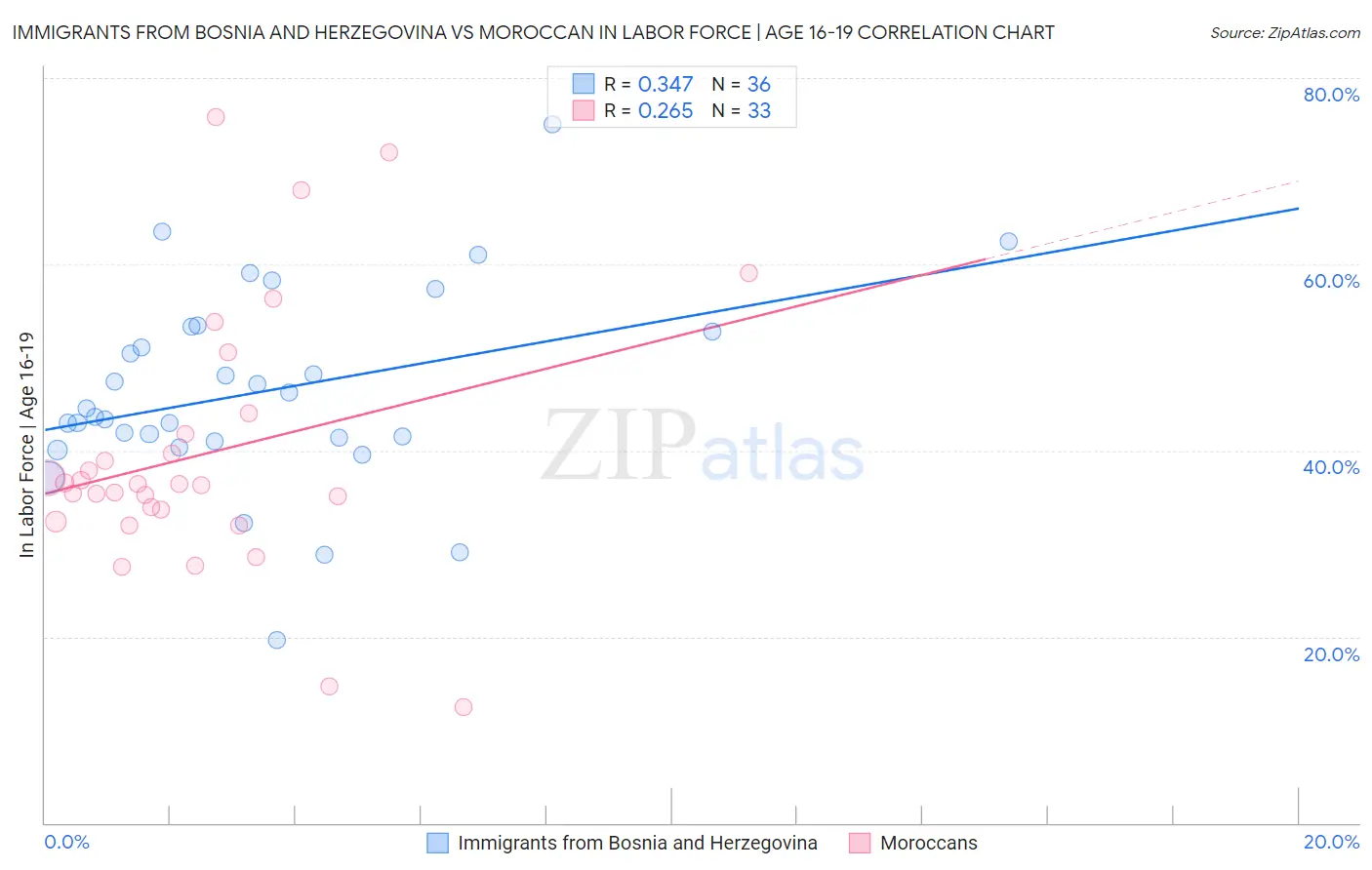 Immigrants from Bosnia and Herzegovina vs Moroccan In Labor Force | Age 16-19