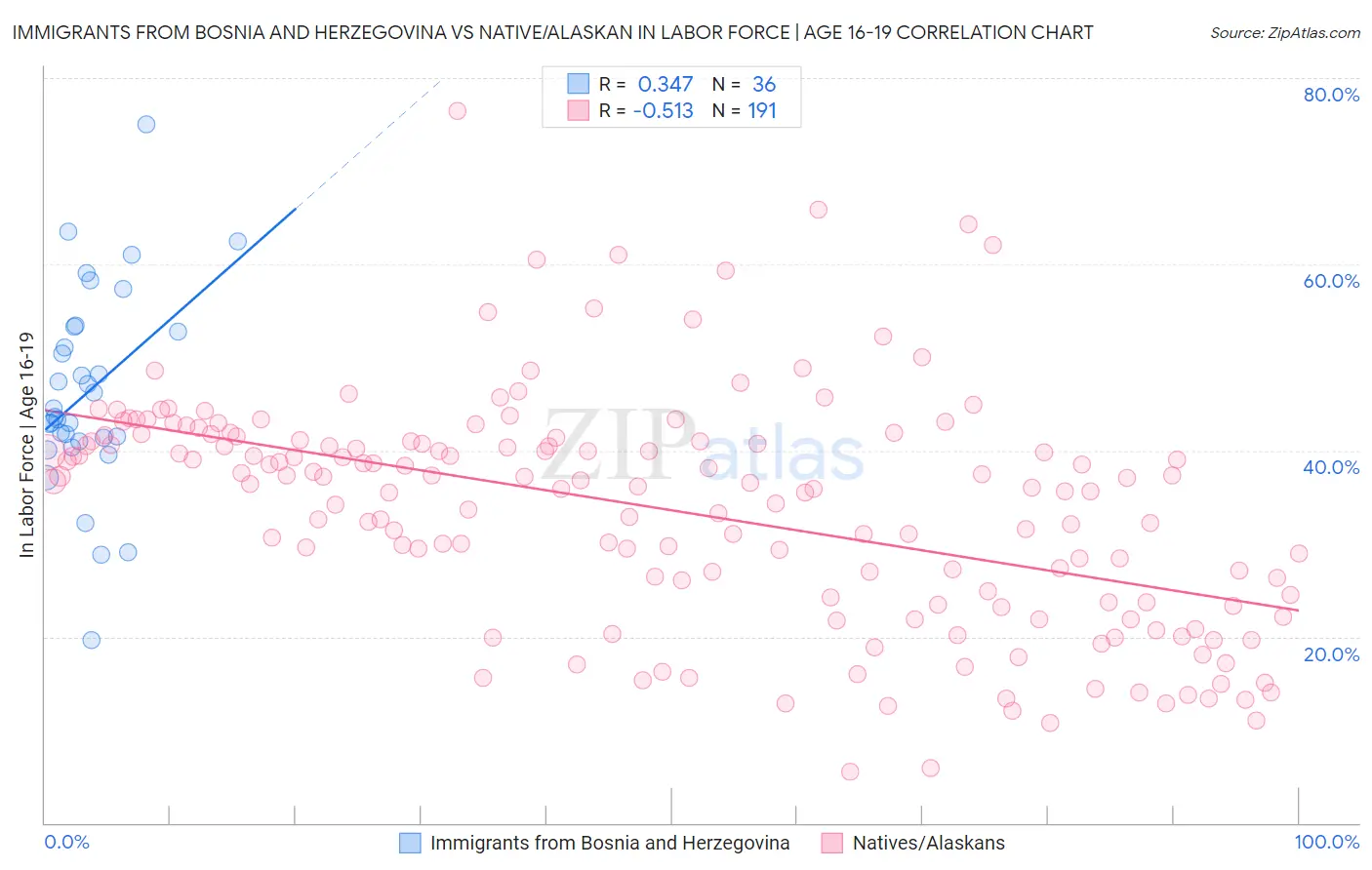 Immigrants from Bosnia and Herzegovina vs Native/Alaskan In Labor Force | Age 16-19