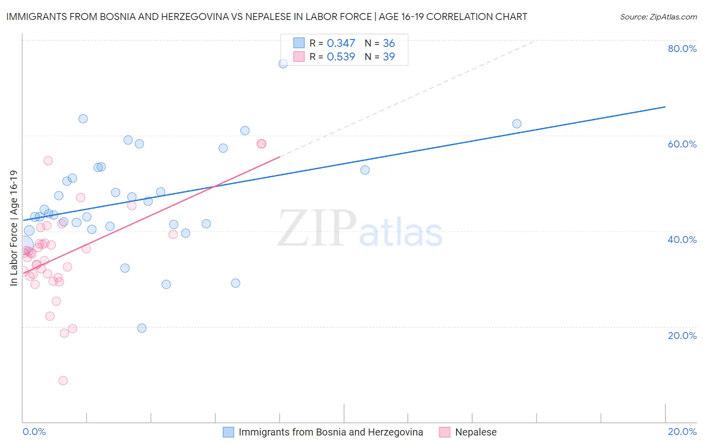 Immigrants from Bosnia and Herzegovina vs Nepalese In Labor Force | Age 16-19