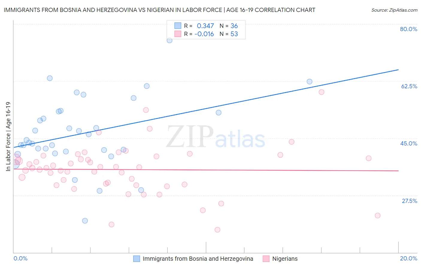 Immigrants from Bosnia and Herzegovina vs Nigerian In Labor Force | Age 16-19