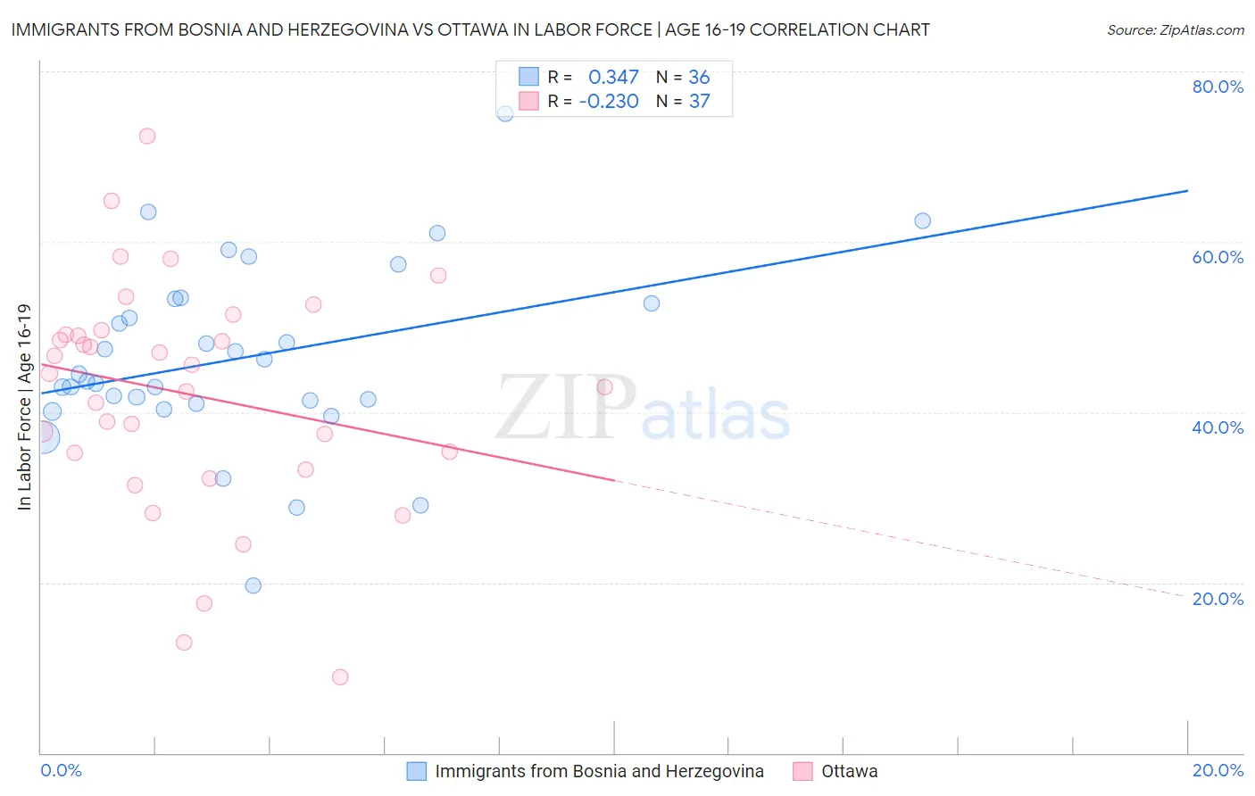 Immigrants from Bosnia and Herzegovina vs Ottawa In Labor Force | Age 16-19