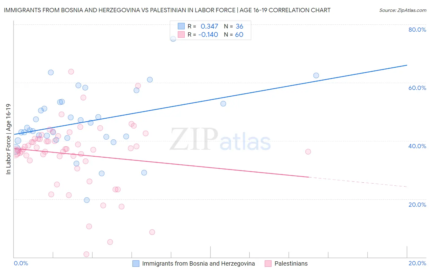 Immigrants from Bosnia and Herzegovina vs Palestinian In Labor Force | Age 16-19