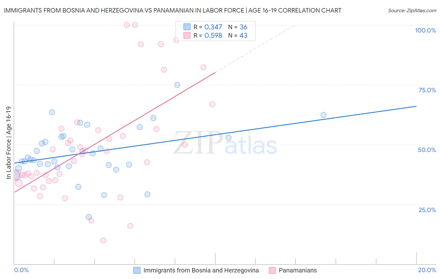 Immigrants from Bosnia and Herzegovina vs Panamanian In Labor Force | Age 16-19