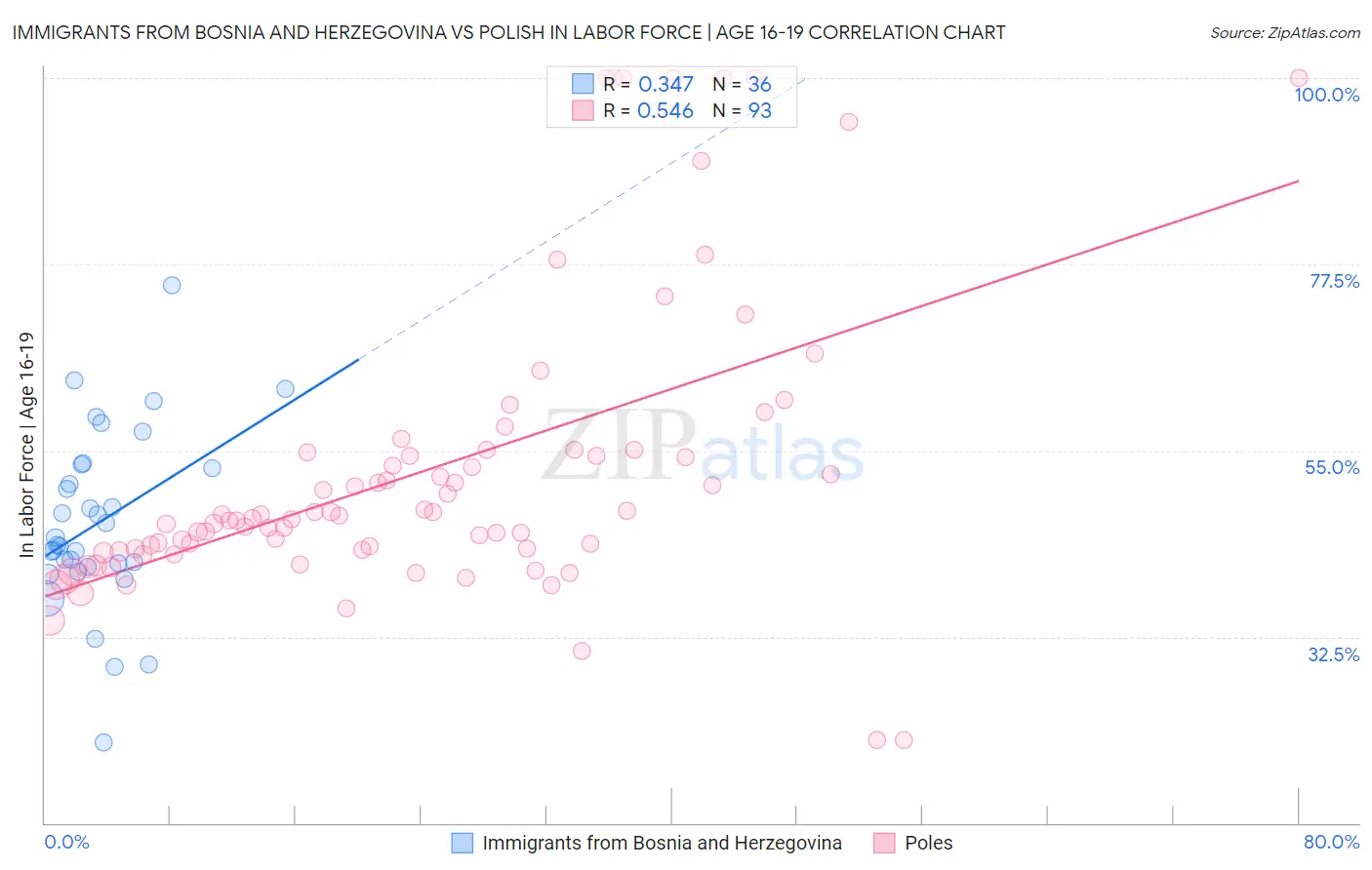 Immigrants from Bosnia and Herzegovina vs Polish In Labor Force | Age 16-19