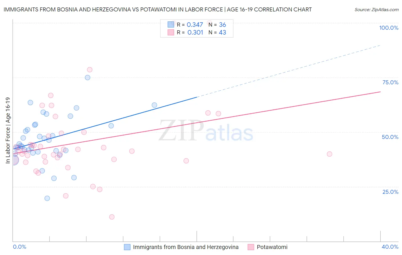 Immigrants from Bosnia and Herzegovina vs Potawatomi In Labor Force | Age 16-19