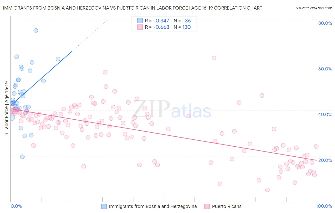 Immigrants from Bosnia and Herzegovina vs Puerto Rican In Labor Force | Age 16-19