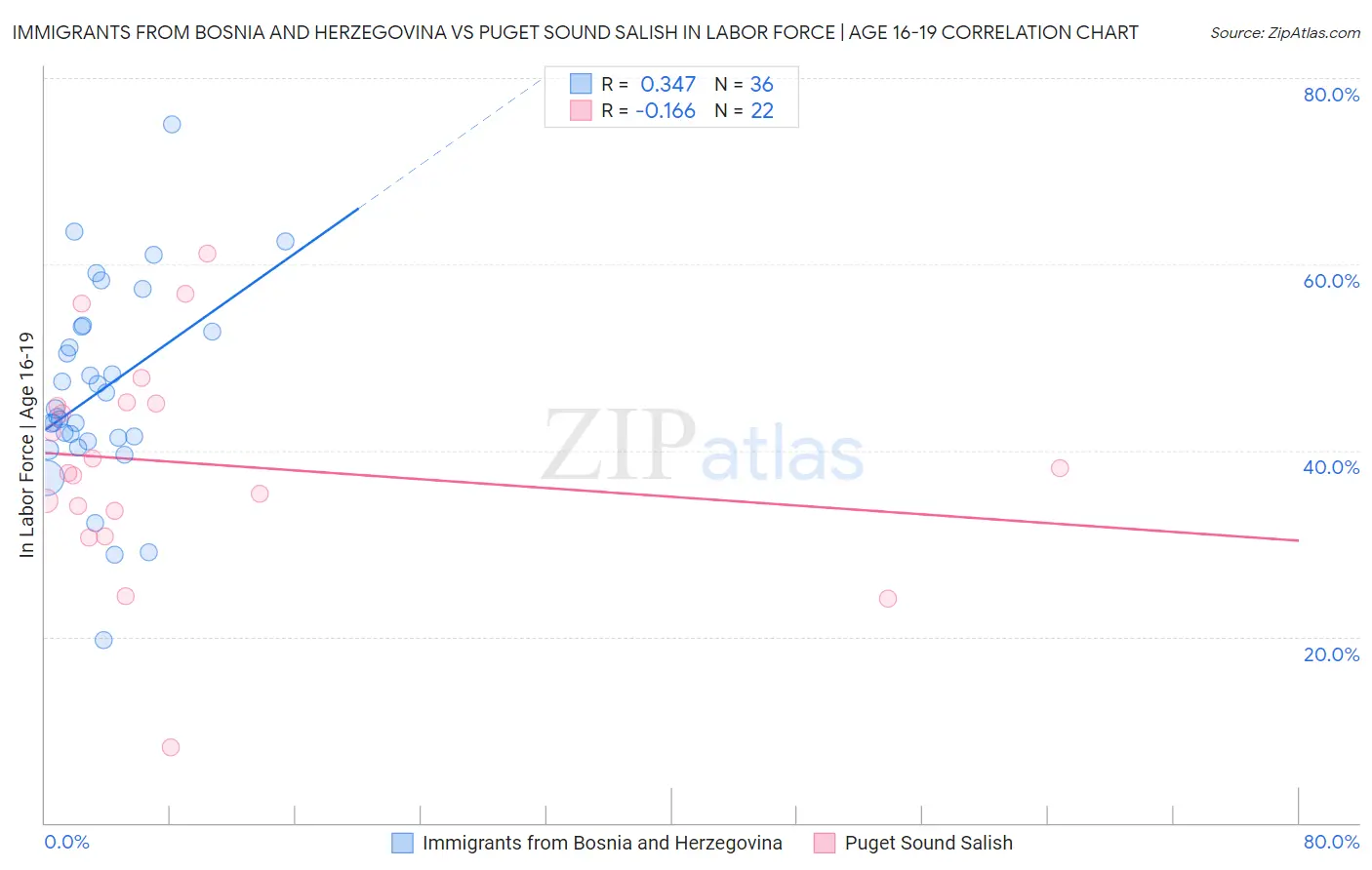 Immigrants from Bosnia and Herzegovina vs Puget Sound Salish In Labor Force | Age 16-19