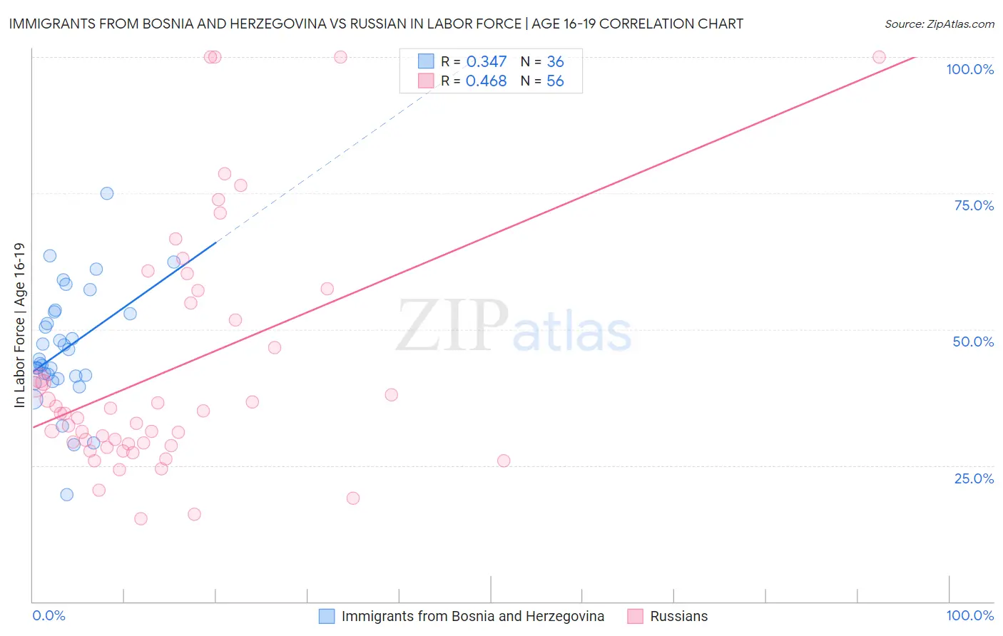 Immigrants from Bosnia and Herzegovina vs Russian In Labor Force | Age 16-19